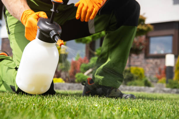 Best Local Pest Control Services  in West Lafayette, OH