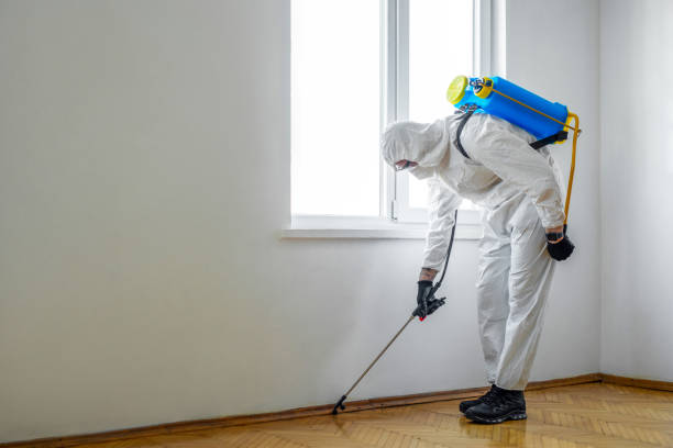 Best Exterminator Services  in West Lafayette, OH
