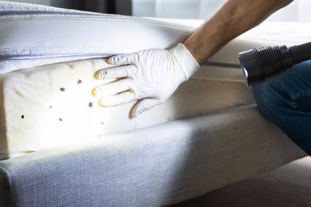 Best Pest Inspection Near Me  in West Lafayette, OH