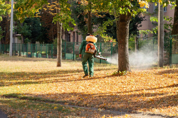 Pest Control for Restaurants in West Lafayette, OH