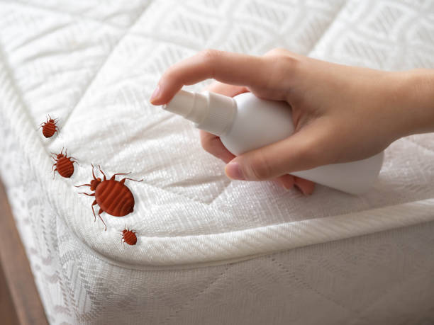 Best Flea Control Services  in West Lafayette, OH
