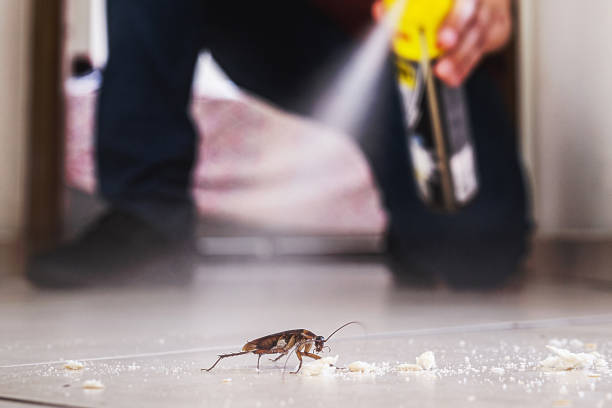 Best Cockroach Control Services  in West Lafayette, OH