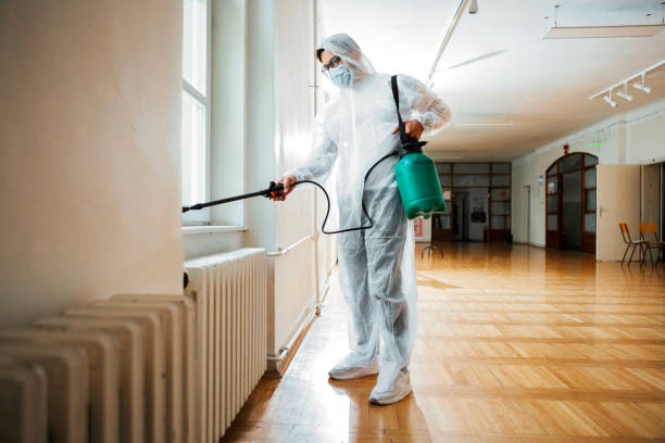Best Wasp Removal Services  in West Lafayette, OH