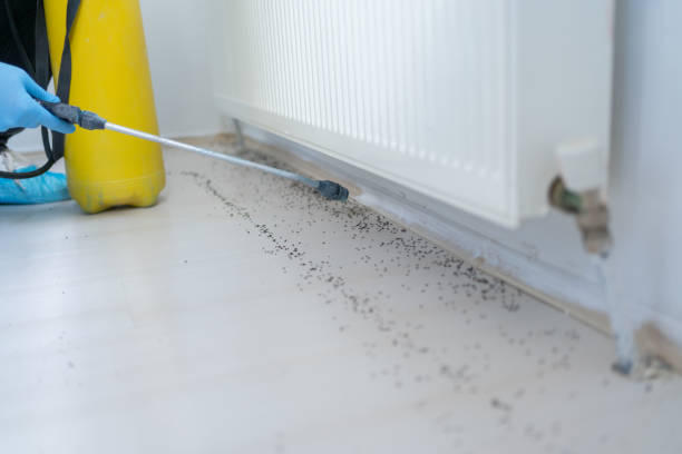 Best Local Pest Control Services  in West Lafayette, OH