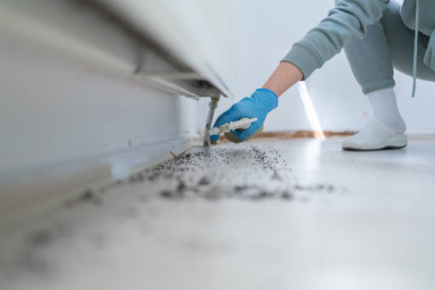 Best Emergency Pest Control  in West Lafayette, OH